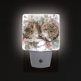 thumbnail image 3 of Watercolor Cat Sleeping Flowers LED Night Light Sensor Lamp Plug-in Adjustable Brightness 2 Pack, 3 of 7