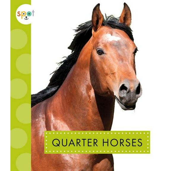 Spot Horses: Quarter Horses (Paperback)