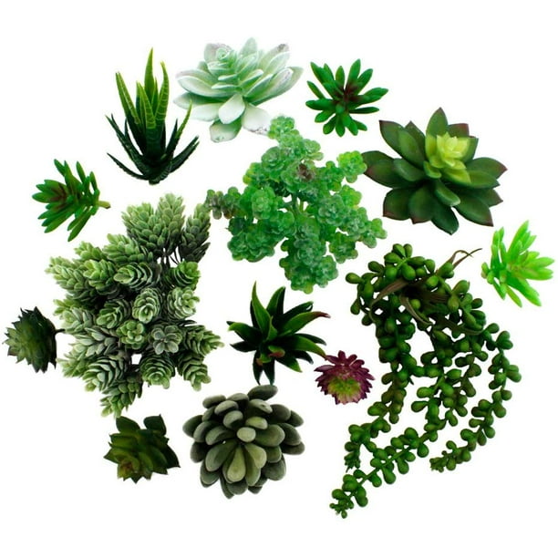 Pack of 14 Assorted Artificial Succulent Plants Unpotted Faux