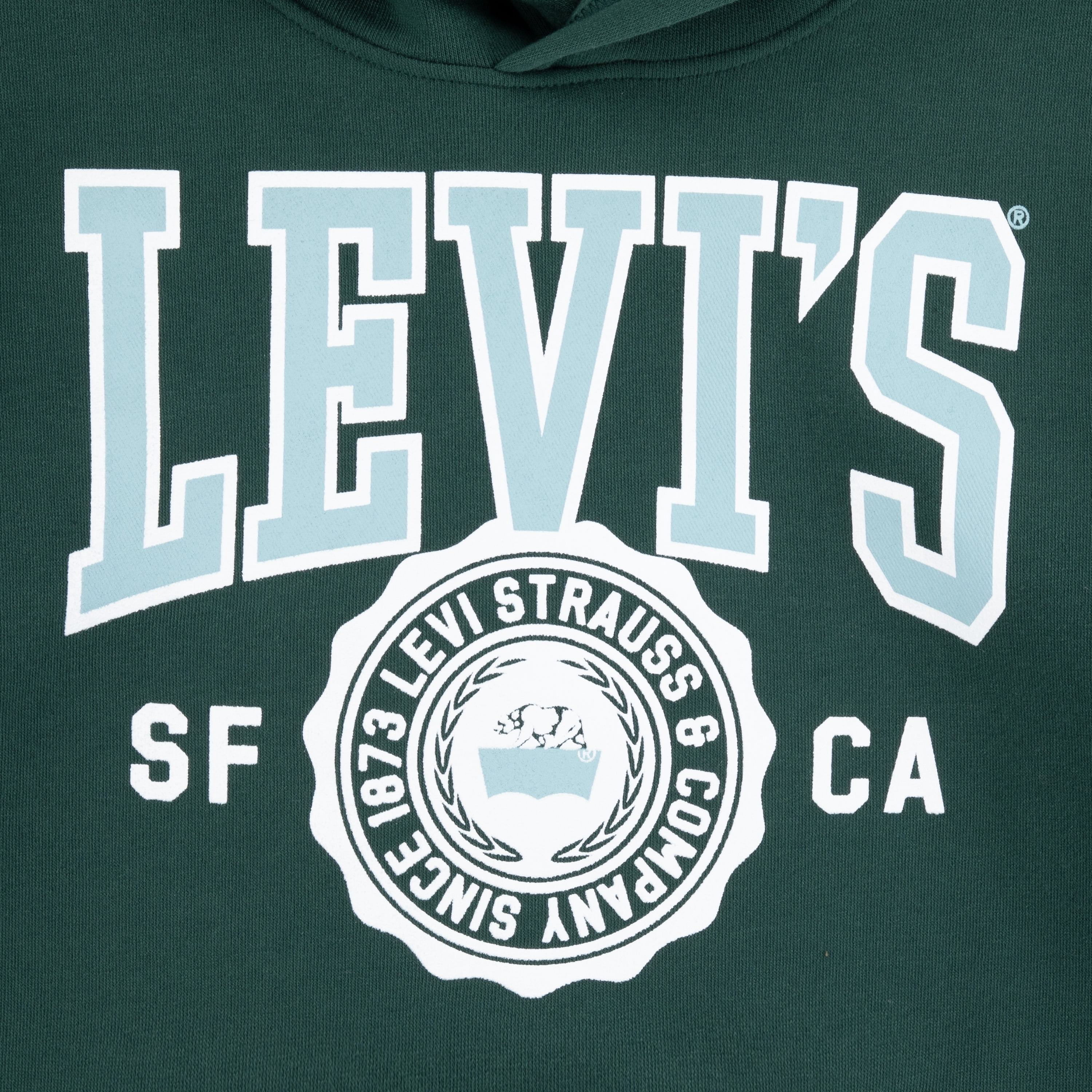 Levi's Boys Sporty Hoodie, Size 8-20