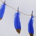 thumbnail image 4 of Plumas de Pancartas de Pancartas para Cumpleaños Baby Shower Party Nursery Wedding Garland H BLESIY banderines, 4 of 8