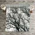 thumbnail image 3 of Ambesonne Nature Quilted Bedspread Set 3 Pcs, Autumn Fall Tree Branch, King Size, Black and White, 3 of 3