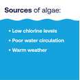 thumbnail image 6 of HTH Pool Care Algae Guard 10 for Swimming Pools, Liquid, 119oz, 6 of 7