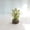 White, variant on 5.9x2.8x2.8 Inch Simulated Flower Potted Decoration, Artificial Tulip And Rose Bonsai In Stump Shaped Pot, Desktop Ornament For Home And Office