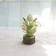thumbnail image 1 of Plantas artificiales en maceta | Decoración de escritorio con bonsái de tulipán artificial | Plantas verdes simuladas en maceta de tronco, 1 of 6