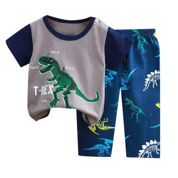 Toddler Boys Pajamas Set Dinosaur Pjs Sleepwear and Pants 2 Piece Set Kids Pajamas Homewear Pajamas for Boys Size 3-4 Years Boys Clothes