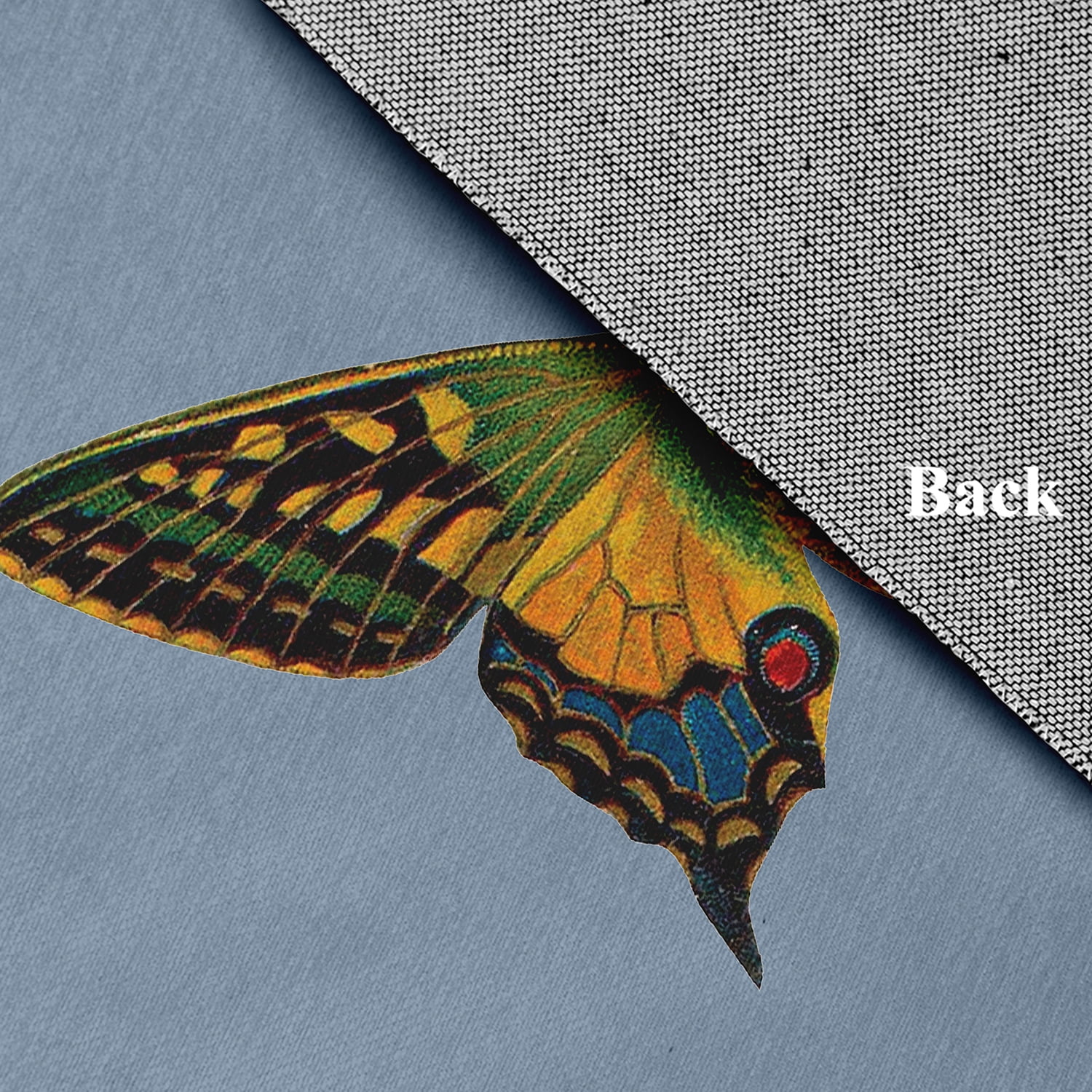 24" 36" Simply Daisy Colorful Butterfly Swallowtail Novelty Chenille Area Rug, Dusty Smoke Blue