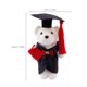 thumbnail image 3 of 10pcs mini graduación oso felpa Graduación de peluche de animales para ositos suaves para la temporada para la decoración del ramo de flores muñecas del oso, 3 of 4