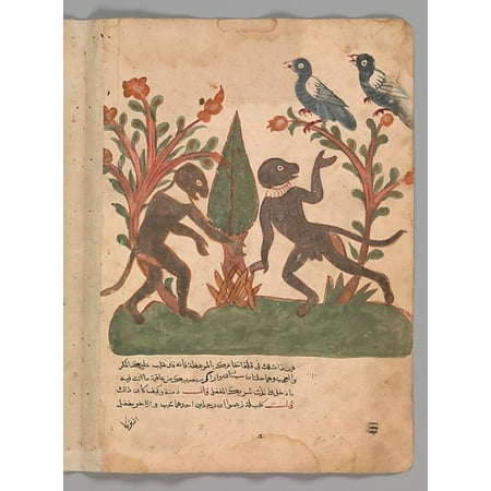 Grow Monkey - The Birds and the Monkeys with the Glow Worm Folio from a Kalila wa Dimna Poster Print (18 x 24)