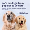 thumbnail image 5 of Petpost Dental Solution for Dogs - Water Additive for Bad Breath & Plaque - Apple, Peppermint & Spearmint - Brush-Free Daily Tooth Cleaning - 16 oz, 5 of 8