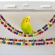 thumbnail image 5 of A Columpio para pájaros, juguete para loros, escalera de escalada, pájaro de juguete, puente con escaleras de madera, escalera para pájaros, 5 of 5