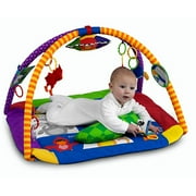 Baby Einstein Discover & Play Activity Gym