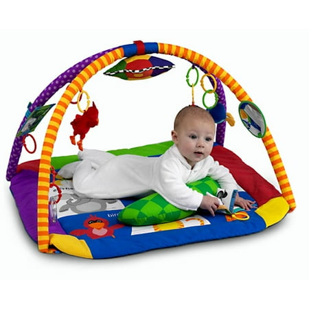 Baby Einstein Discover & Play Activity Gym