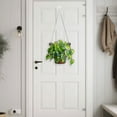 thumbnail image 3 of Pothos Plant Acrylic Suncatcher for Window Decor, 3 of 4