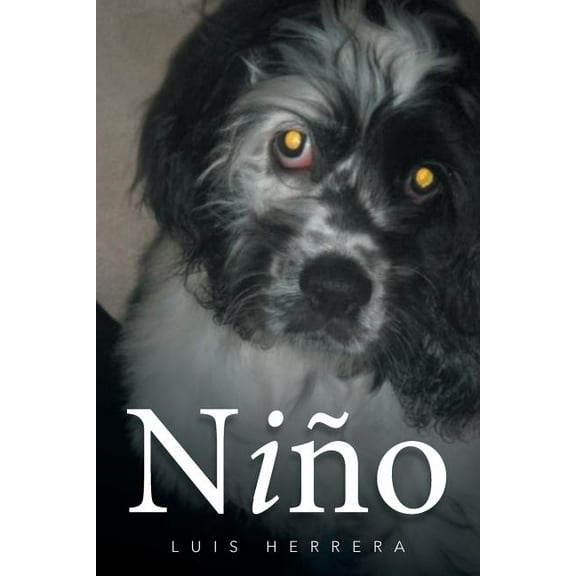 Niño (Paperback)