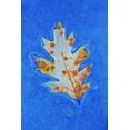 thumbnail image 2 of Delisle, Gilles 11x14 Gold Ornate Wood Framed with Double Matting Museum Art Print Titled - Canada, Quebec Red oak leaf caught in ice, 2 of 4