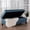 Blue, variant on Purple Living Room Storage Chair - 50d X 20.5w 18.3h Fabric, Birch Versatile Piece Stylish With Compartment Essential