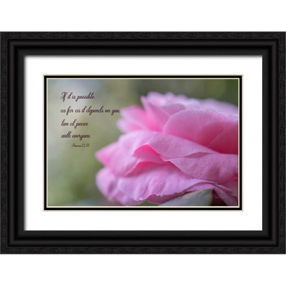 Murdock, Ramona 18x13 Black Ornate Wood Framed with Double Matting Museum Art Print Titled - Live at Peace