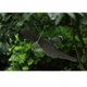 thumbnail image 2 of La Decoración Artificial De Con Cable Protege Los Cultivos De Jardín De Plagas De Roedores Animales mayimx Avispón de pájaro volador, 2 of 9