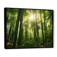 thumbnail image 2 of Designart "Dynamic Lighting In The Bamboo Grove II" Bamboo Floater Framed Canvas Prints, 2 of 5