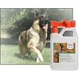 thumbnail image 4 of UltraCruz Canine Foaming Shampoo®, 32 oz with travel applicator, 4 of 5