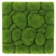thumbnail image 1 of ColoMX Simulación Decoración de pared de musgo Tablero de espuma de musgo falso para la pared de fondo de bricolaje y decoración colgante Simulación Moss Ornament Moss Moss Wall Mat, 1 of 7