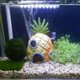 thumbnail image 2 of 13cm Aquarium Fish Tank Ornament Cartoon Resin Pineapple House Decoration, 2 of 4