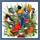 thumbnail image 3 of Diamante dibujo completo DIY taladro redondo Rhinestone pájaros reuniendo 5D Kit de pintura, 3 of 9