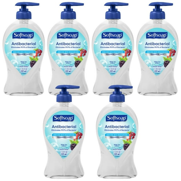 Liquid Hand Soap for All Skin Types Dermatologist Tested Moisturizing Soap - White Tea & Berry Scented Soap for Daily Hand Wash Refillable Soap Bottle with Pump, 11.25 Fl OZ Per Pack, Pack of 6