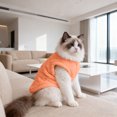 thumbnail image 2 of Dog Sweaters for Small Dogs Girl Boy Winter Puppy Clothes Warm Soft Doggie Sweatshirt Outfit for Dogs Cats Pet Apparel, S, 2 of 5