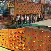 20PCS Indoor Outdoor Climbing Holds Rock Wall Stones Holds Grip For Kid