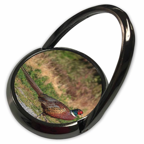 3dRose, Ring-necked Pheasant bird, California, USA - US05 TNO0061 - Tom Norring, Phone Ring