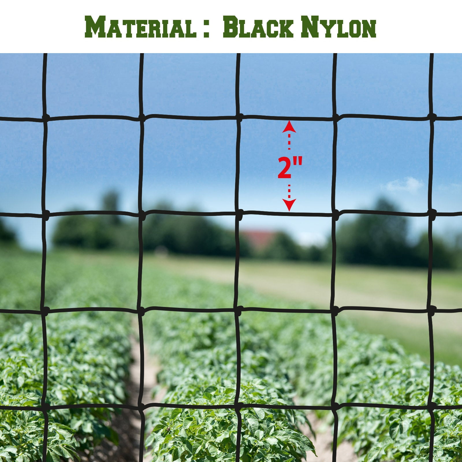 SUNRISEUMBRELLA Stronger Netting Fruit Plant Protective Anti Bird Net Pens Avaiary Game Poultry(25'x50')