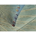 thumbnail image 4 of Ambesonne Vintage Quilted Bedspread Set 3 Pcs, Ferris Wheel Fun Retro, King Size, Blue, 4 of 5