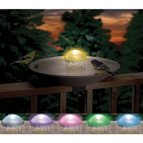 Aurora Lighted Water Wiggler