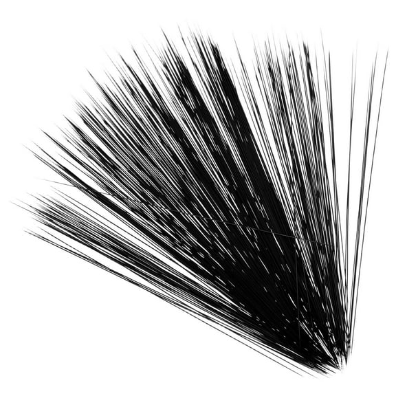 BESTOYARD Whiskers for Crafts Craft Whisker Materials Plastic Black 1 Bottle