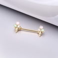 thumbnail image 2 of A Pair of Golden Adorable Mixed Flavor Ice Cream Cone Nipple Barbell, 2 of 5