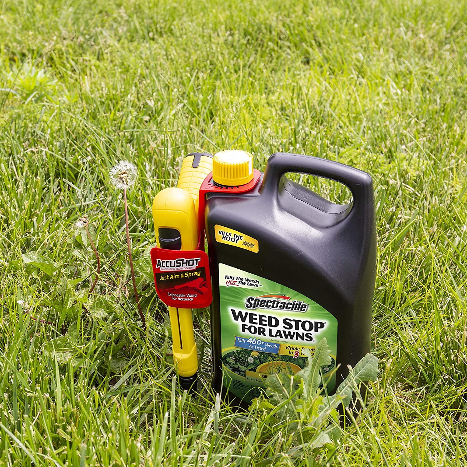 Spectricide HG-96544 Weed Stop, Ready-to-Use, 1.33-Gallon With Accushot Sprayer - Quantity 1