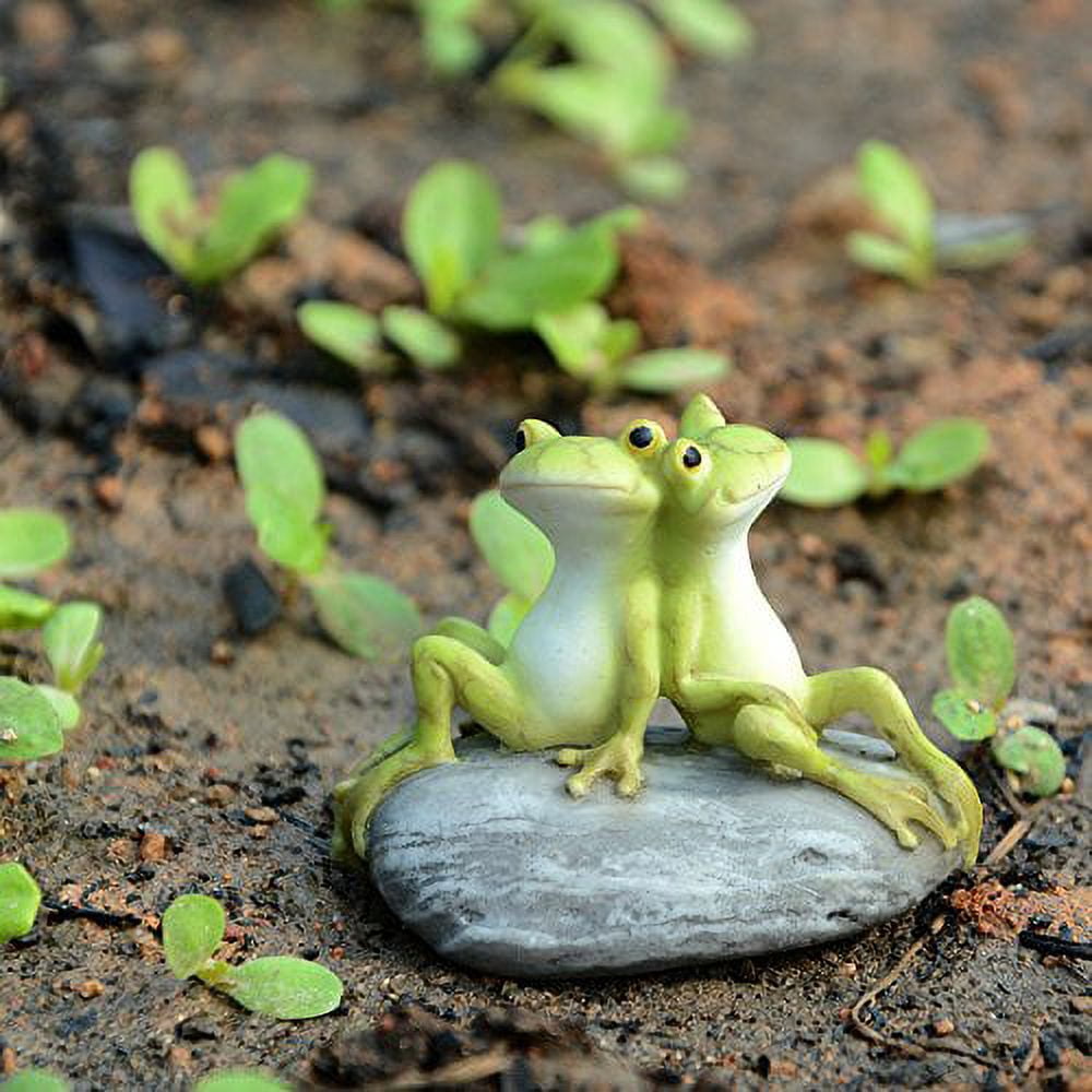 mini frogs ribbit parents 200｜TikTok Search
