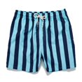 thumbnail image 2 of Taybagh Baby Boy Swimsuit Toddler Baby Boys Swim Trunks Kids Quick Dry Beach Swim Shorts Board Shorts Bathing Suit Swimwear, 2 of 4
