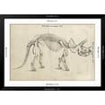 thumbnail image 5 of Art.com Dinosaur Study II Art Print by Ethan Harper, Black Frame Wall Art, 44" x 32", 5 of 5