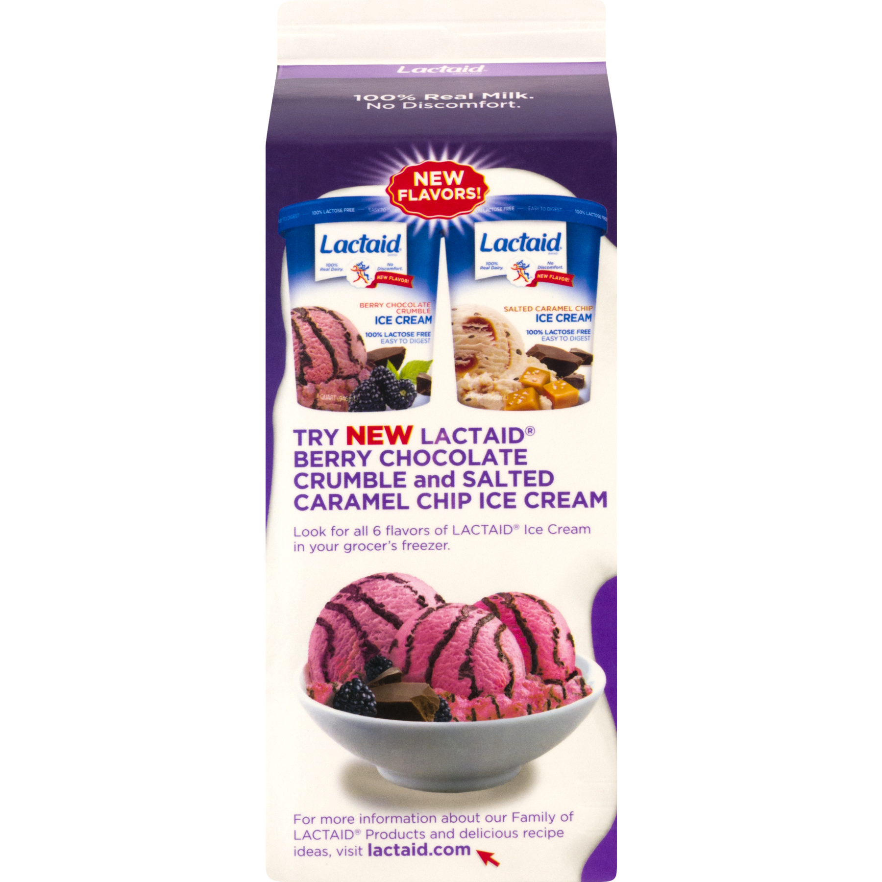 Lactaid Chocolate Ice Cream Recipe Dandk Organizer