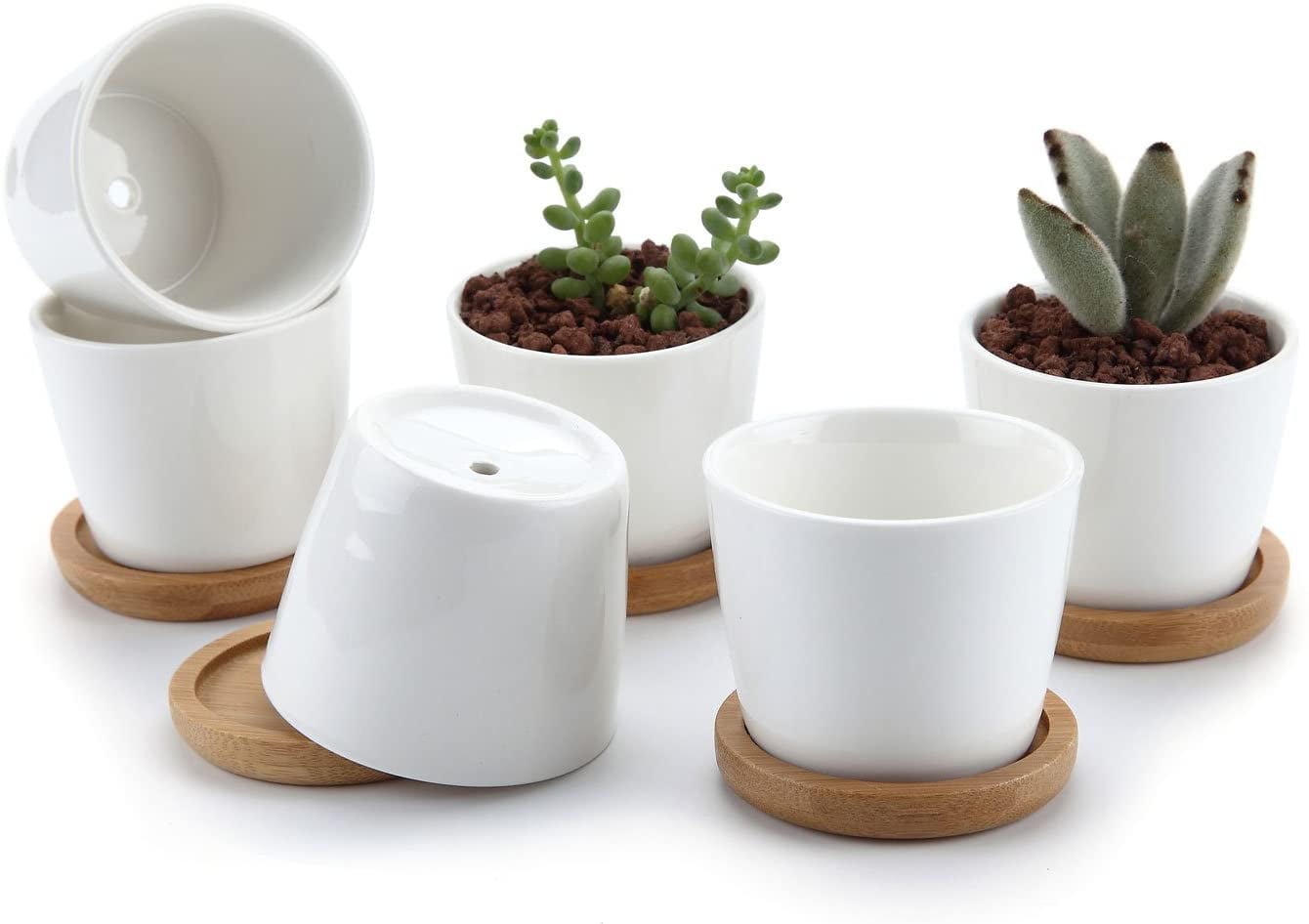 2.5 Inch Ceramic Succulent Planter Pot with Bamboo Saucer Details about   Set of 3 