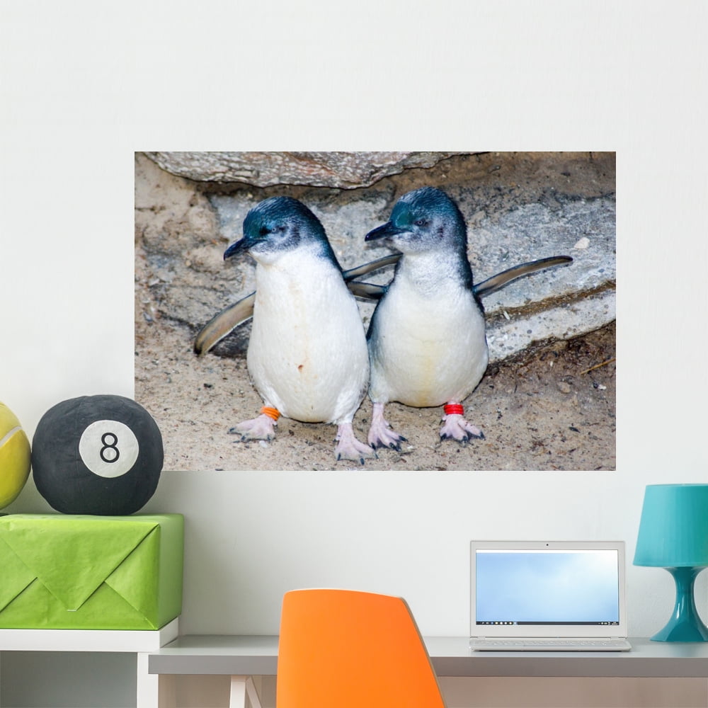 Two Fairy Penguins Wall Mural Decal Sticker, Wallmonkeys Peel & Stick ...