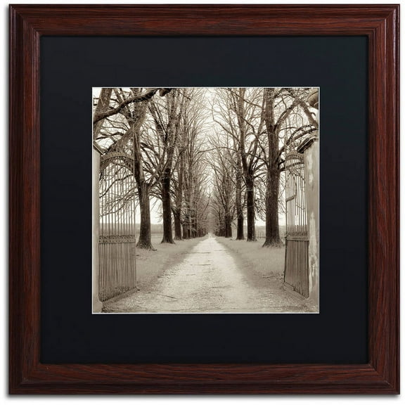 Trademark Fine Art "Veneto Giardini I" Canvas Art by Alan Blaustein, Black Matte, Wood Frame