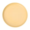 thumbnail image 2 of Round Pet Food Plate Snack Dish for Cats Dogs, Shallow Wide Cat Feeding Bowl, Easy Clean Plastic Pet Dish for Dry Wet Food Treats, Stackable Feeding Bowl for Small Medium Pets Kittens, 2 of 6