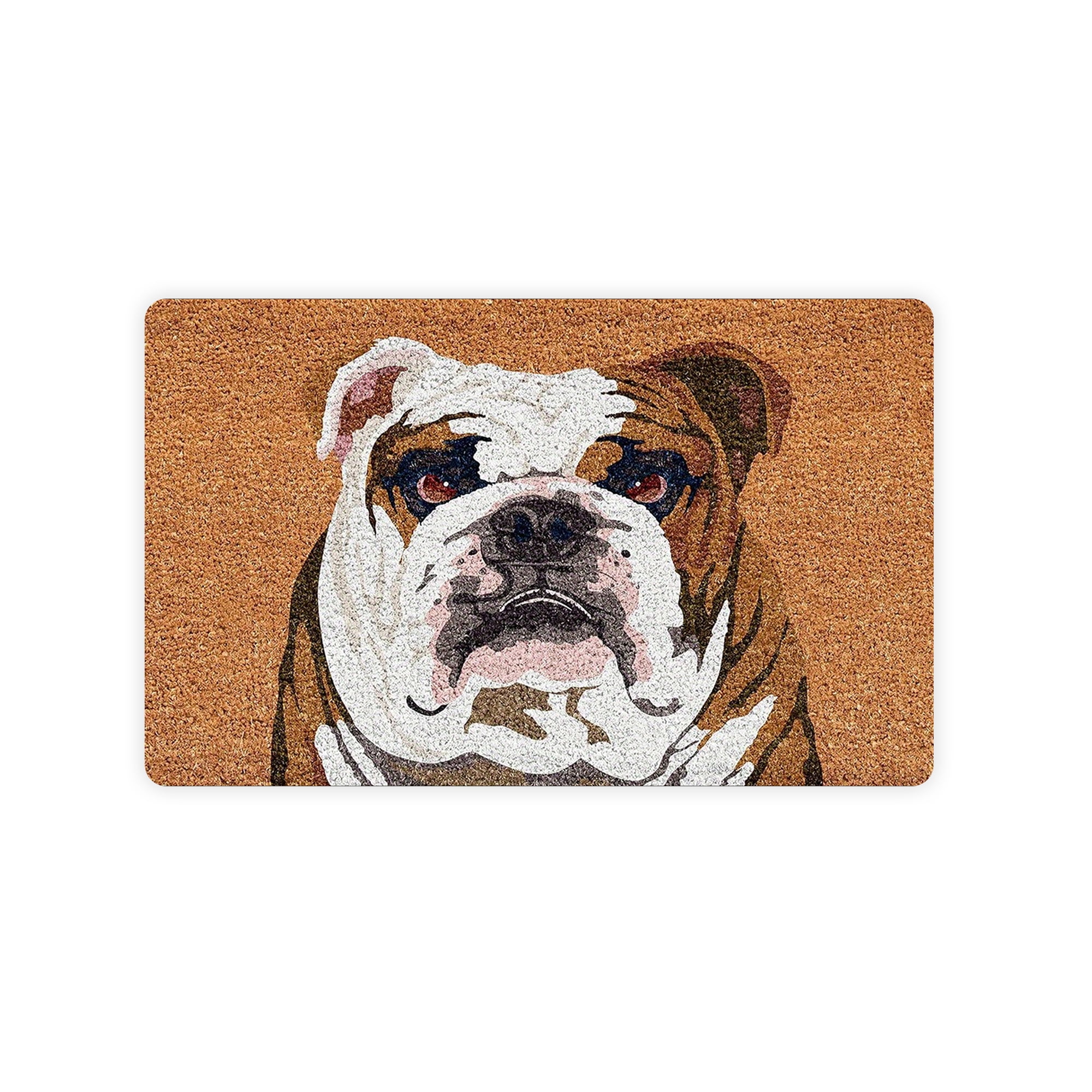 JML Non-Slip MicrofiberFabric & Rubber Doormat - Soft Entryway Rug for Home/Office (20"x32") - Easy Clean Door Mat for Indoor/Outdoor Use, Dog