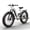 White1, variant on PUCKIPUPPY Electric Bikes for Adults 26" Step-Thru Ebikes 960W Peak Motor 80Miles Range 28mph Max Speed 48V 20AH Battery Full Suspension Fat Tire Mountain E Bike 7 Speed, Comply with UL2849 By SGS