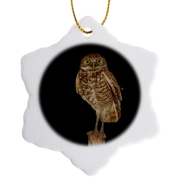 3drose, Mama Owl, 3 inch Snowflake Porcelain Ornament