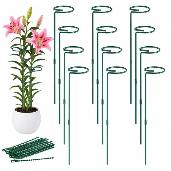 SLUMLOVE 24 in Green Metal Plant Support Stakes, 12 Pack, 4.5 mm Spiral Ring Garden Stakes with Plant Ties